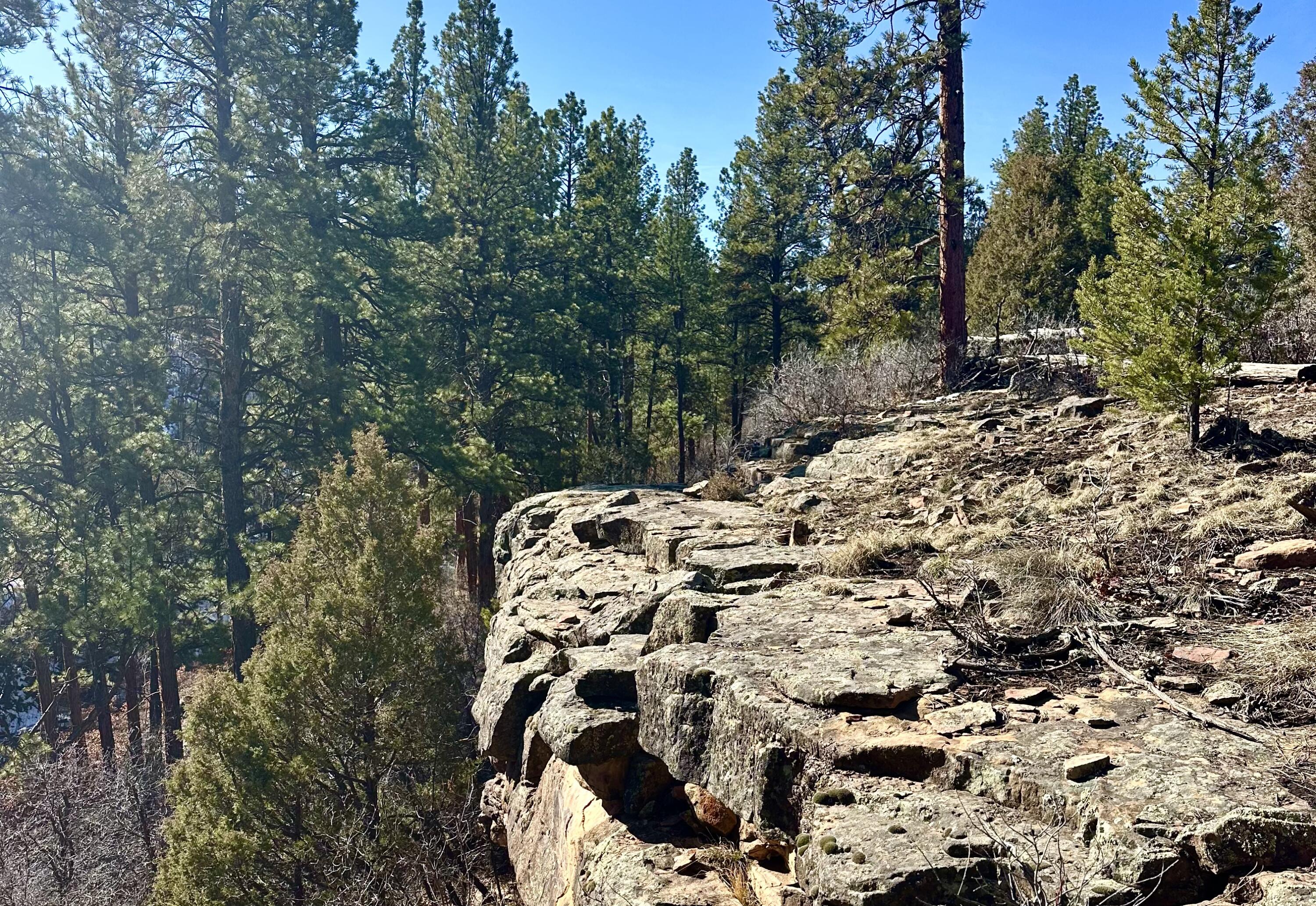213 Big Canyon Point Ridgway, CO 81432 - Photo 35 of 41 Yard backs onto Canyon