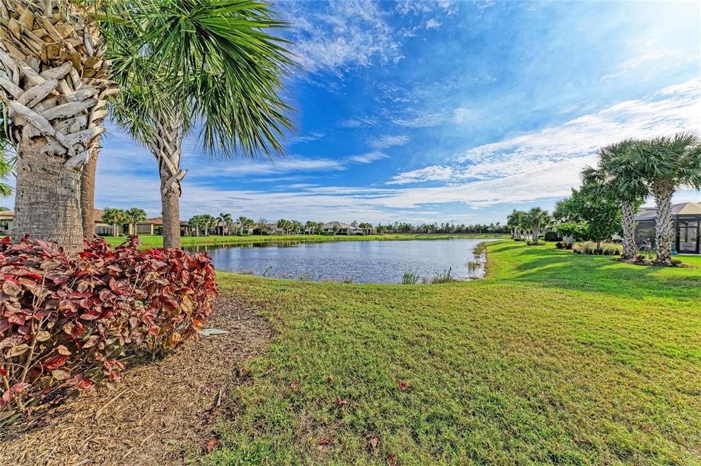 17631 Colebrook Circle Lakewood Ranch, FL 34202 - Photo 64 of 85 a view of a lake with a big yard