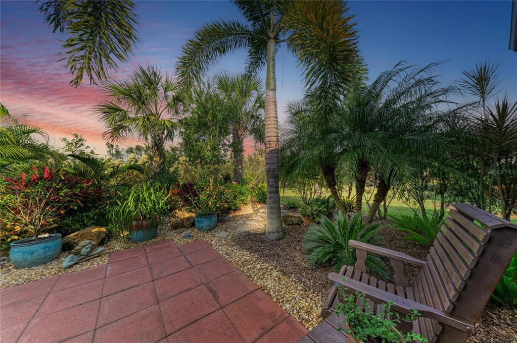17631 Colebrook Circle Lakewood Ranch, FL 34202 - Photo 8 of 85 a view of a backyard with plants and palm tree