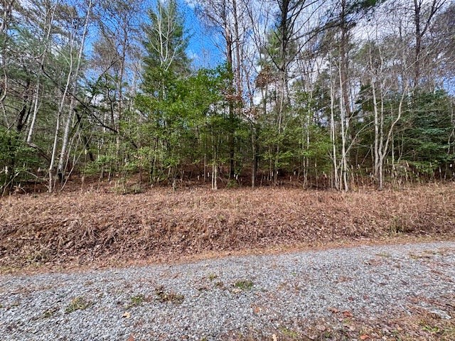 9 Timberline Road Murphy, NC 28906 - Photo 12 of 22 a view of a forest filled with trees