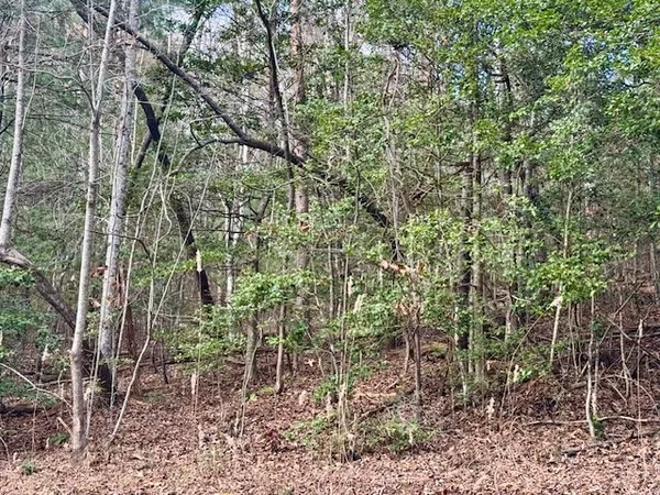 a backyard of a house with lots of trees