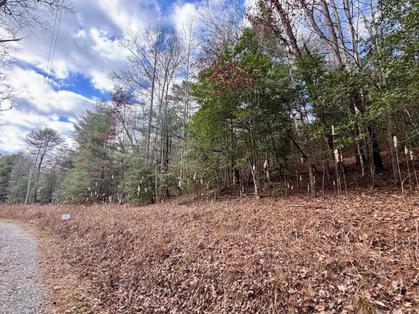 a big yard with lots of green space