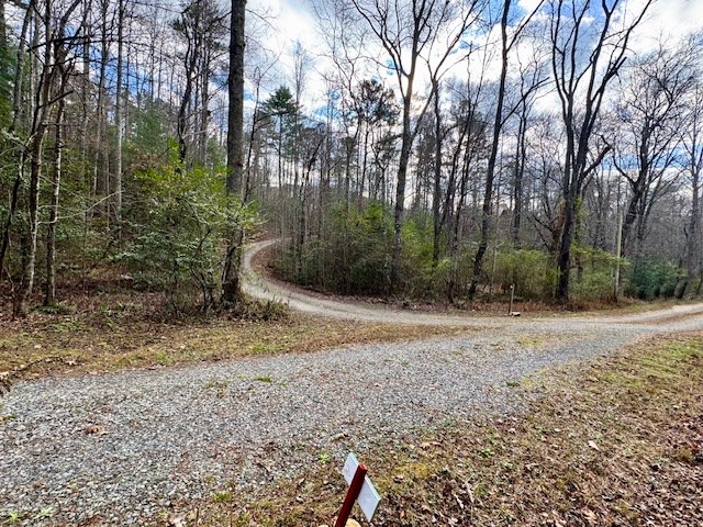 9 Timberline Road Murphy, NC 28906 - Photo 18 of 22 a view of a yard with plants and trees