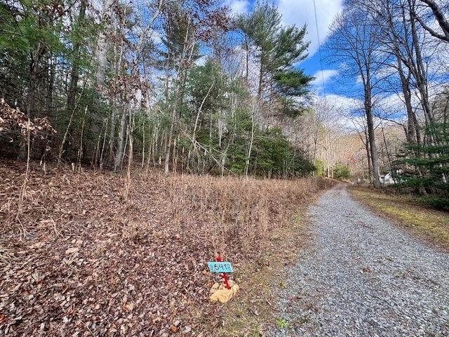 9 Timberline Road Murphy, NC 28906 - Photo 20 of 22 a backyard of a house with lots of green space