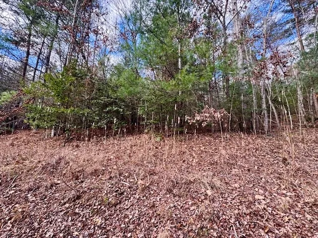 $21,000 | 9 Timberline Road, Murphy, NC 28906