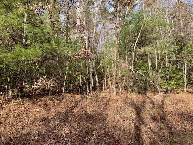 9 Timberline Road Murphy, NC 28906 - Photo 22 of 22 a view of outdoor space and a yard