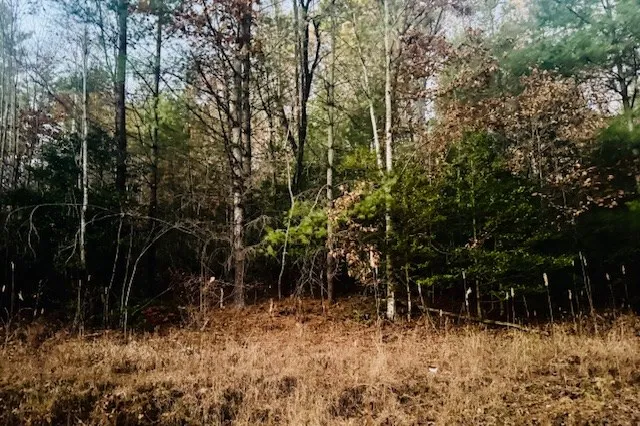 $21,000 | 9 Timberline Road, Murphy, NC 28906