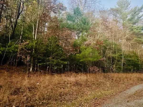 a view of backyard with green space