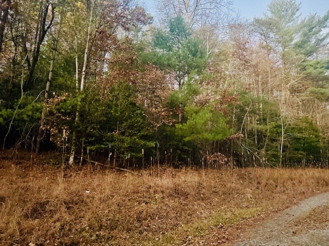 9 Timberline Road Murphy, NC 28906 - Photo 5 of 22 a view of backyard with green space