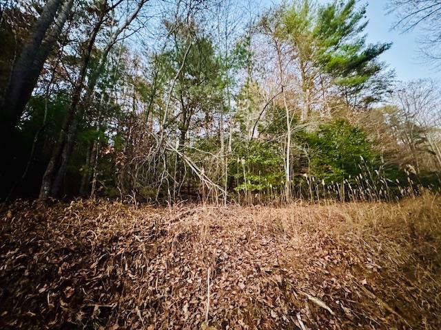 9 Timberline Road Murphy, NC 28906 - Photo 7 of 22 a view of a yard with plants and trees