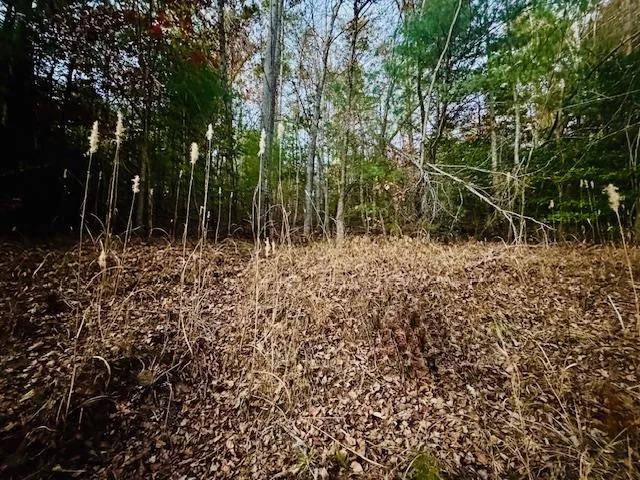 $21,000 | 9 Timberline Road, Murphy, NC 28906