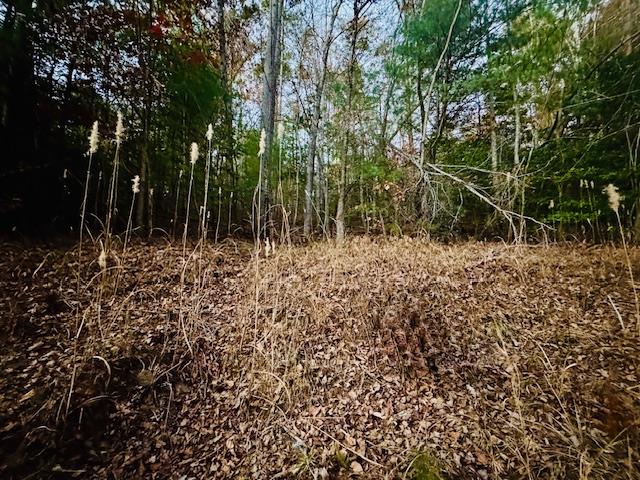 9 Timberline Road Murphy, NC 28906 - Photo 8 of 22 a view of a yard