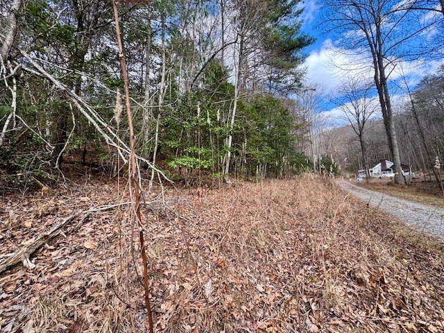 9 Timberline Road Murphy, NC 28906 - Photo 9 of 22 a view of a yard with plants and trees