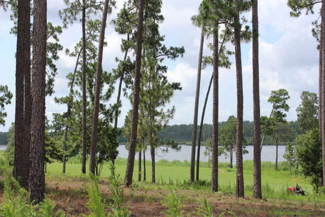 17362 Cabin Road Loxley, AL 36551 - Photo 12 of 18