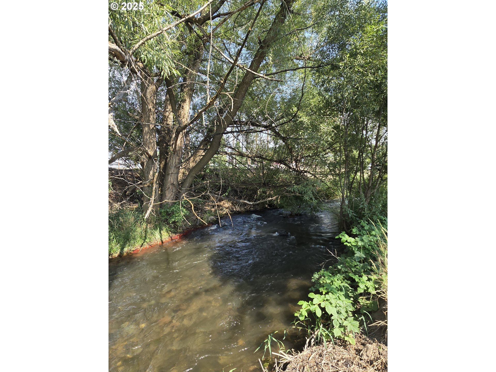 407 Residence Street Enterprise, OR 97828 - Photo 37 of 43 a backyard of a house with a yard and outdoor seating