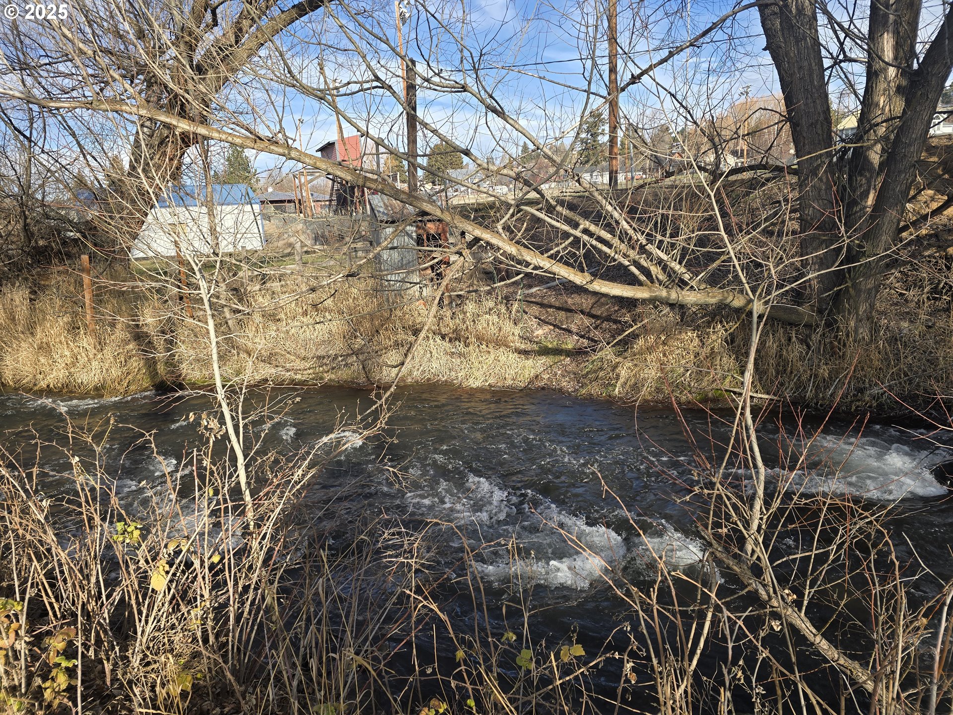 407 Residence Street Enterprise, OR 97828 - Photo 42 of 43 a view of a yard with a tree
