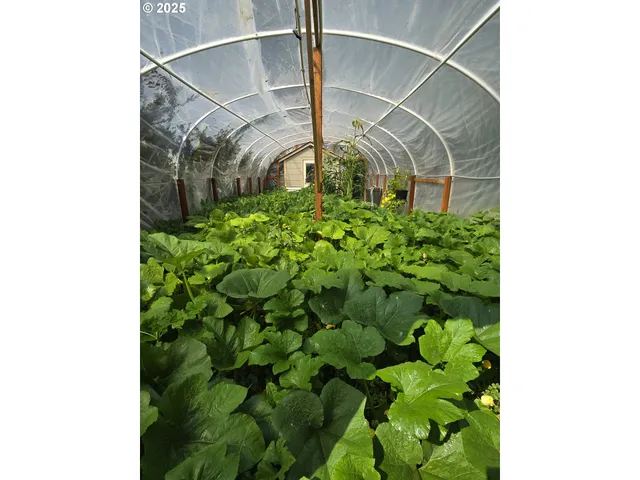 a picture of a door in the backyard