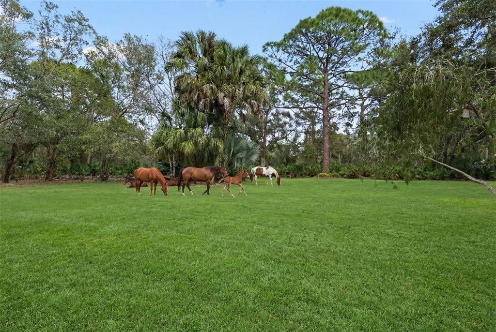 1343 Ranchero Drive Sarasota, FL 34240 - Photo 11 of 68