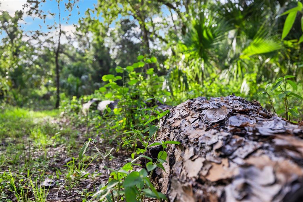 1343 Ranchero Drive Sarasota, FL 34240 - Photo 64 of 68