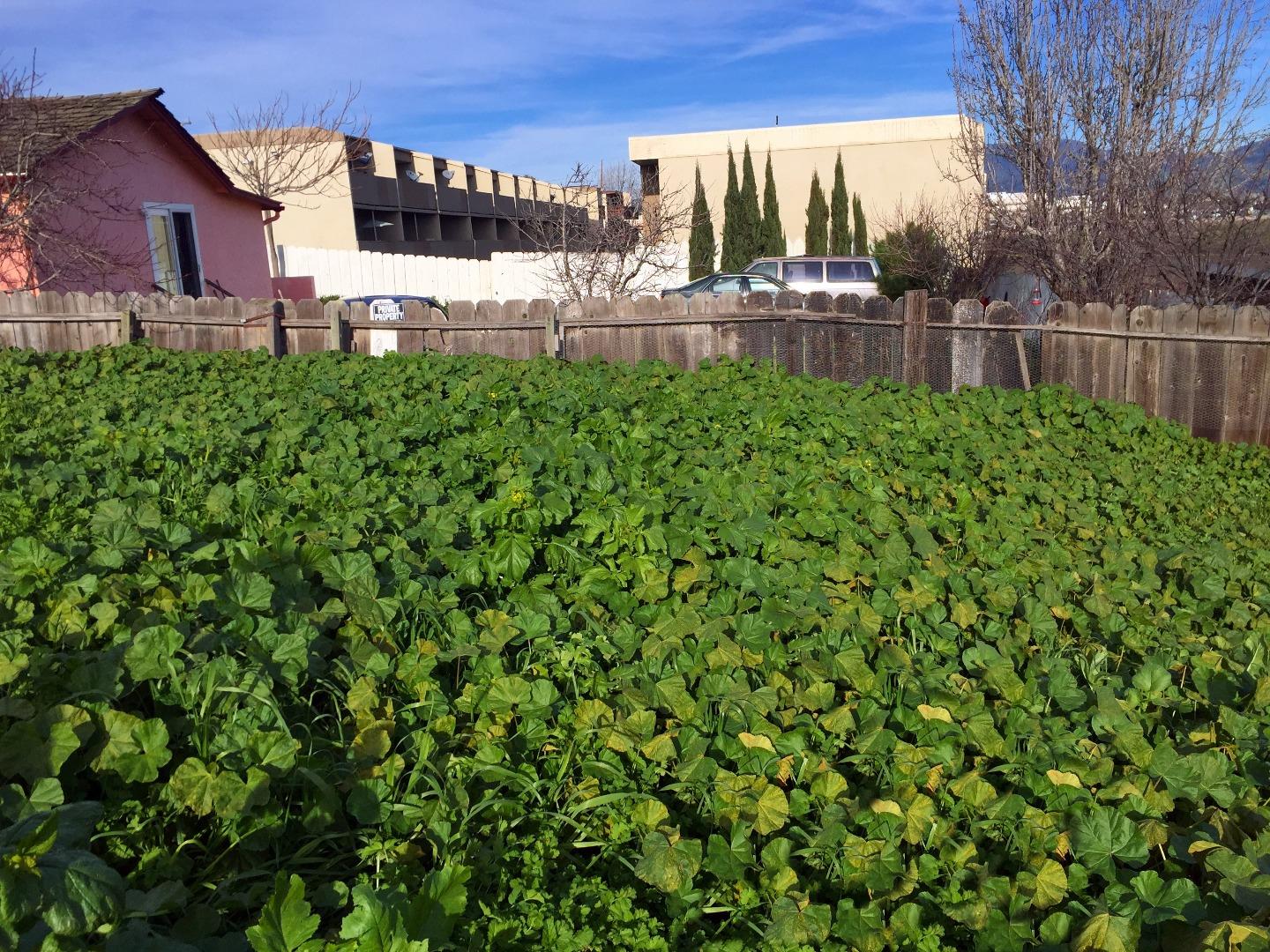 22 Natividad Road Salinas, CA 93906 - Photo 6 of 15