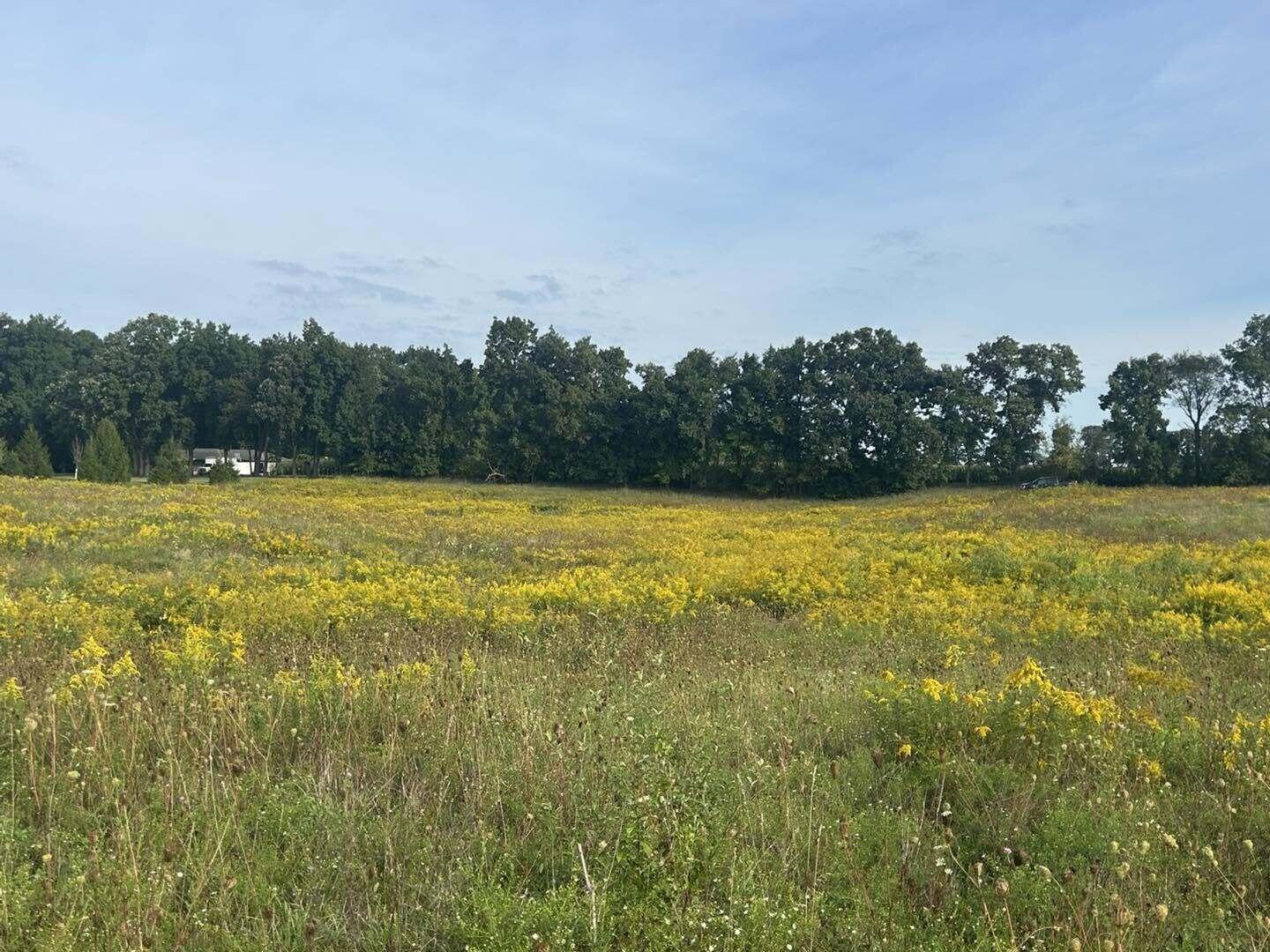 V/l Warner Road Concord, MI 49237 - Photo 2 of 7 war2
