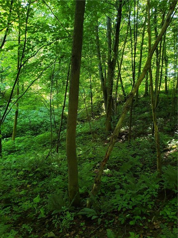 3-3800 Pew Road Mercer, PA 16124 - Photo 2 of 7 Back of property