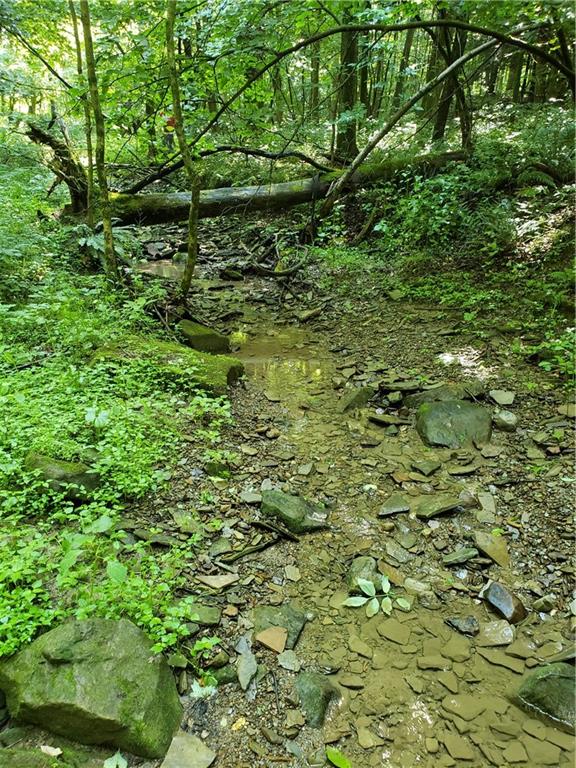 3-3800 Pew Road Mercer, PA 16124 - Photo 4 of 7 One of two streams that run through property.