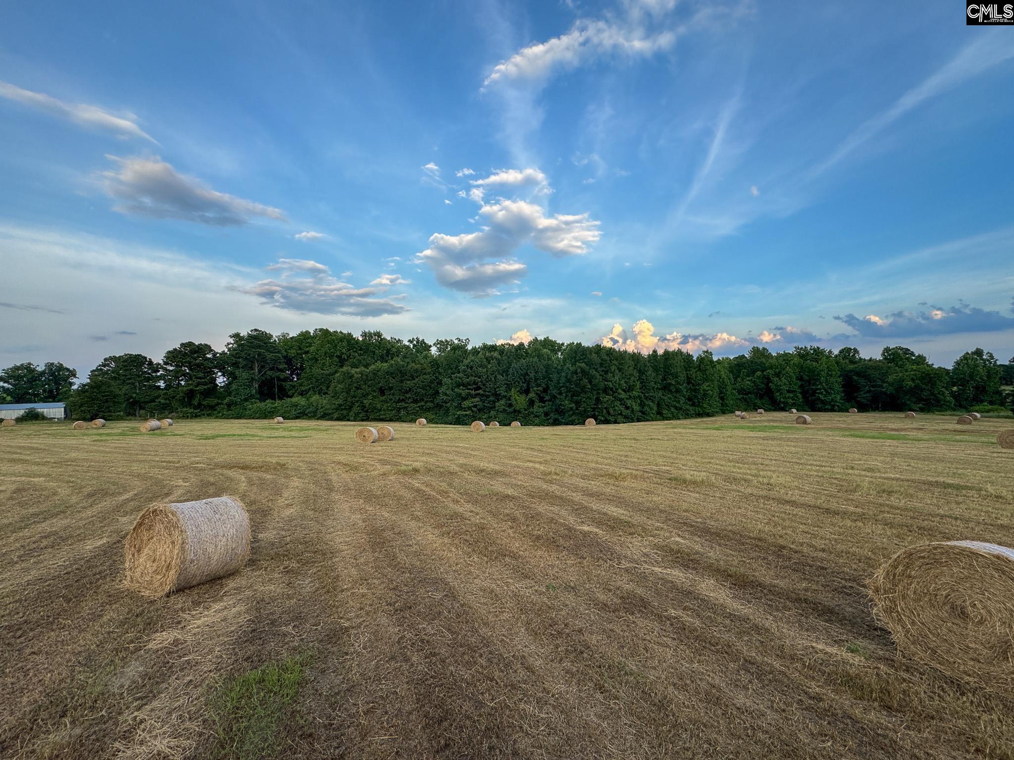 0 Shealy Road, Unit LOT 7 Batesburg, SC 29006 - Photo 15 of 15