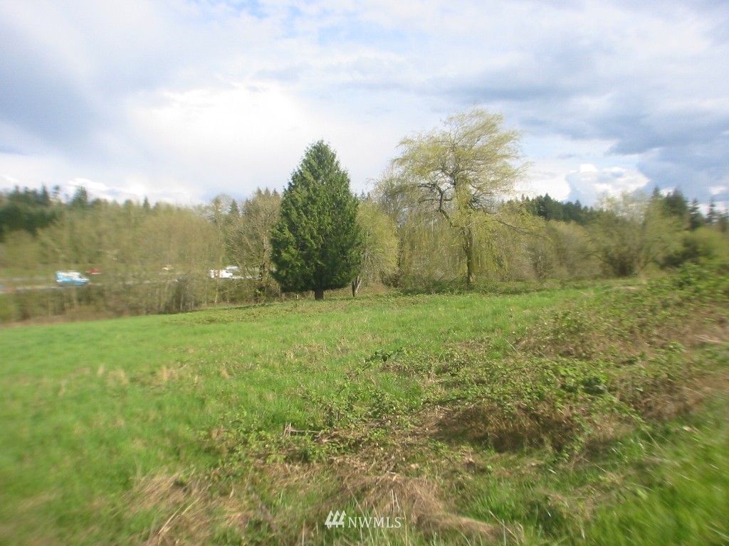 0 South Timm Road Ridgefield, WA 98642 - Photo 2 of 3