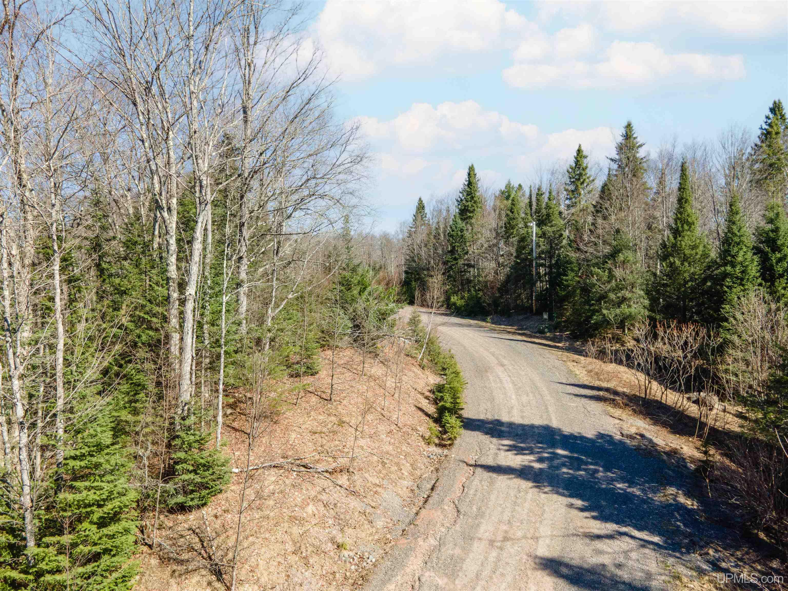 Tamarack Lk Road Watersmeet, MI 49969 - Photo 4 of 9