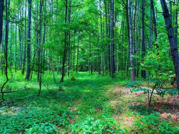 $2,850,000 | Tbn Bunkley Road, Meadville, MS 39653