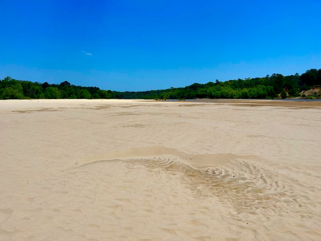 Tbn Bunkley Road Meadville, MS 39653 - Photo 12 of 29 Photo 12