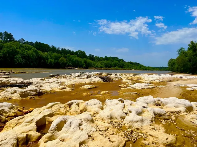 $2,850,000 | Tbn Bunkley Road, Meadville, MS 39653