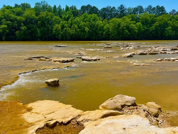 $2,850,000 | Tbn Bunkley Road, Meadville, MS 39653