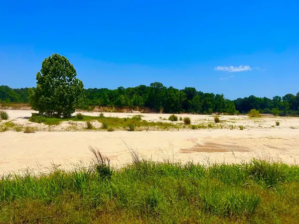 $2,850,000 | Tbn Bunkley Road, Meadville, MS 39653