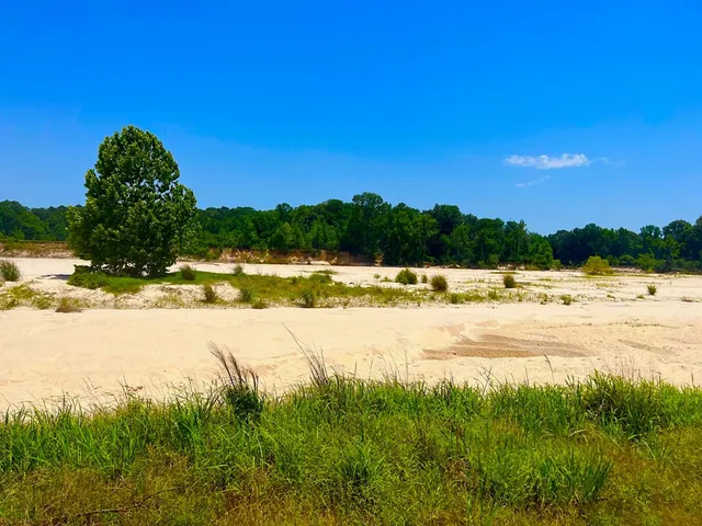 $2,850,000 | Tbn Bunkley Road, Meadville, MS 39653