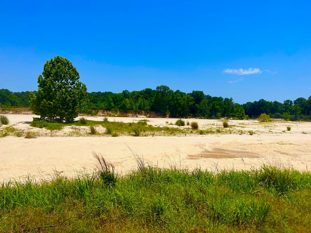 Tbn Bunkley Road Meadville, MS 39653 - Photo 2 of 29 Photo 2