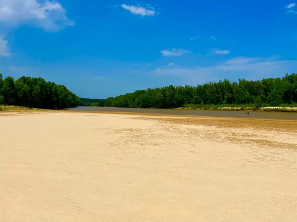 $2,850,000 | Tbn Bunkley Road, Meadville, MS 39653