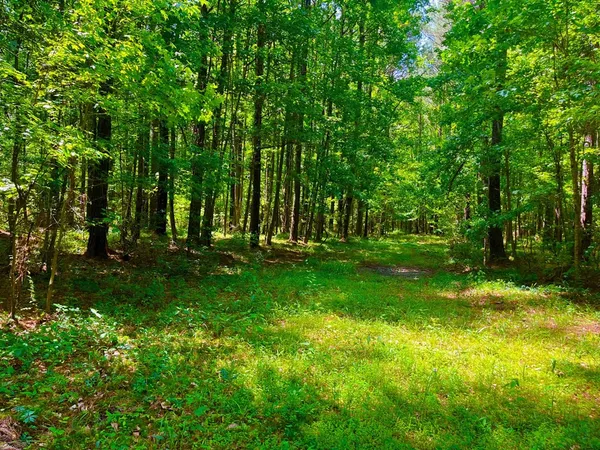 $2,850,000 | Tbn Bunkley Road, Meadville, MS 39653