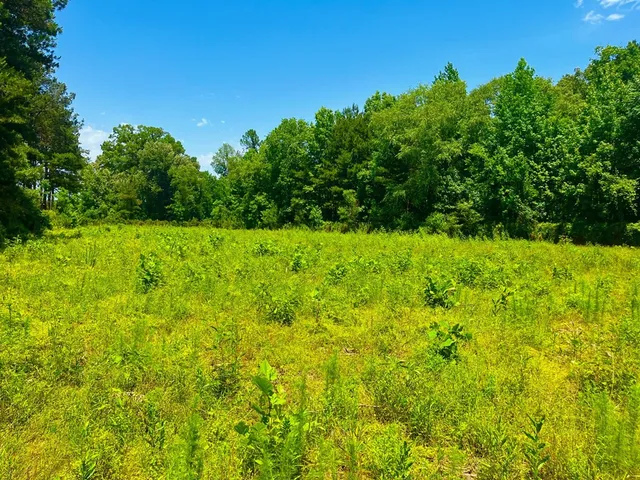 $2,850,000 | Tbn Bunkley Road, Meadville, MS 39653