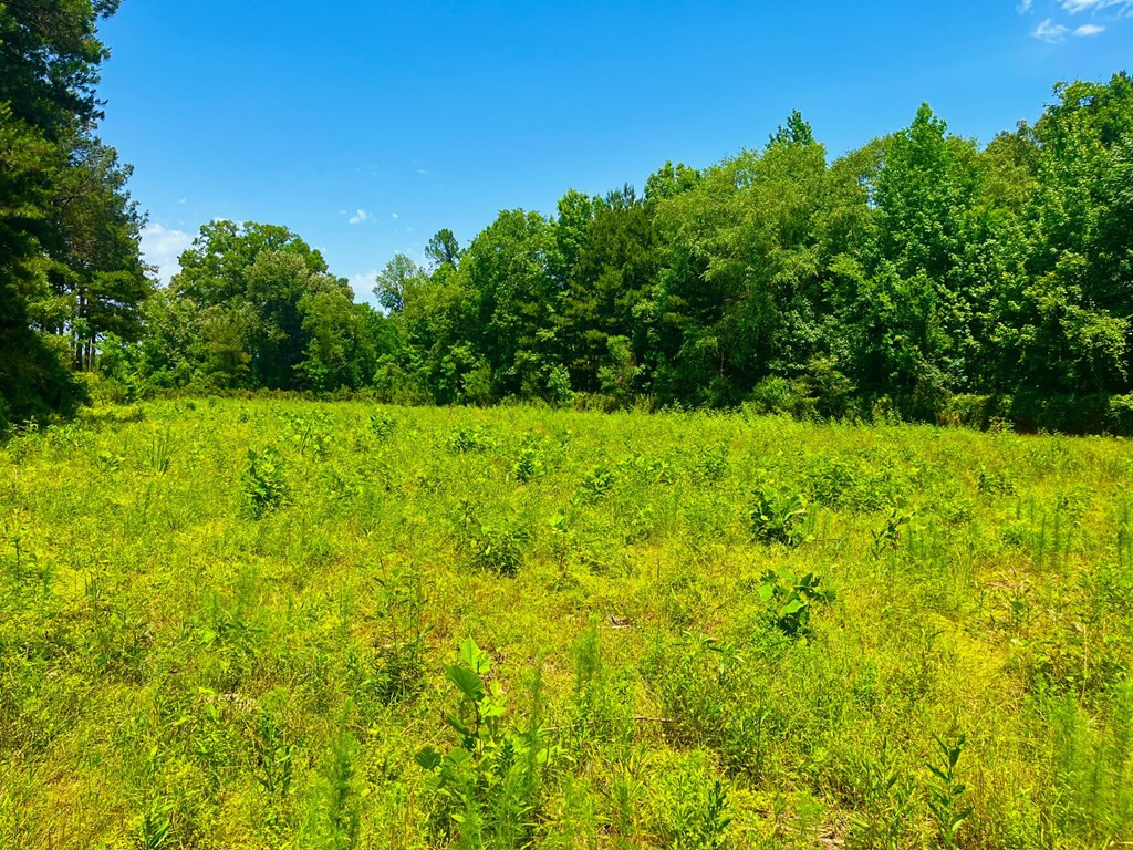 Tbn Bunkley Road Meadville, MS 39653 - Photo 25 of 29 Photo 25