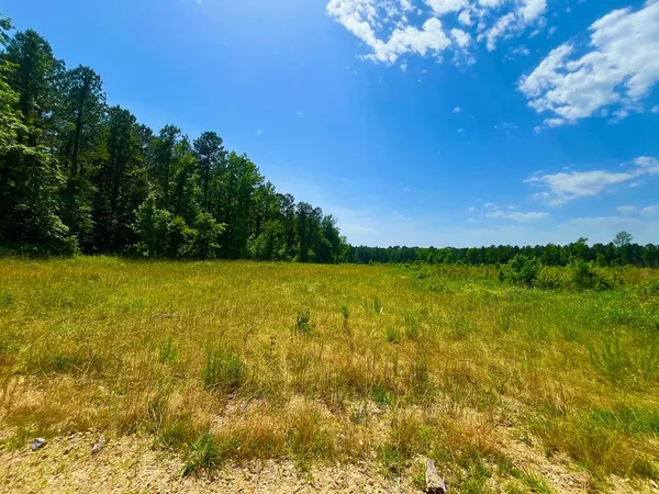$2,850,000 | Tbn Bunkley Road, Meadville, MS 39653