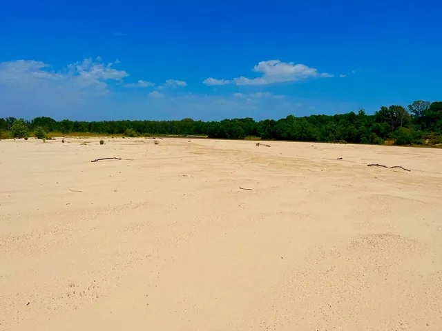 $2,850,000 | Tbn Bunkley Road, Meadville, MS 39653