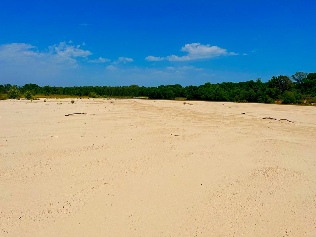 Tbn Bunkley Road Meadville, MS 39653 - Photo 4 of 29 Photo 4