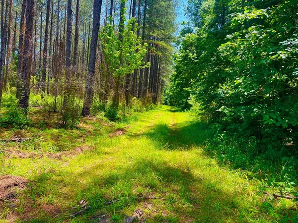 $2,850,000 | Tbn Bunkley Road, Meadville, MS 39653