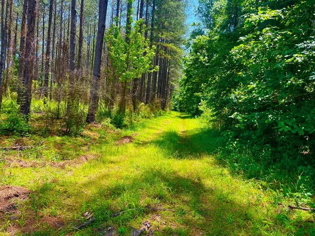 $2,850,000 | Tbn Bunkley Road, Meadville, MS 39653