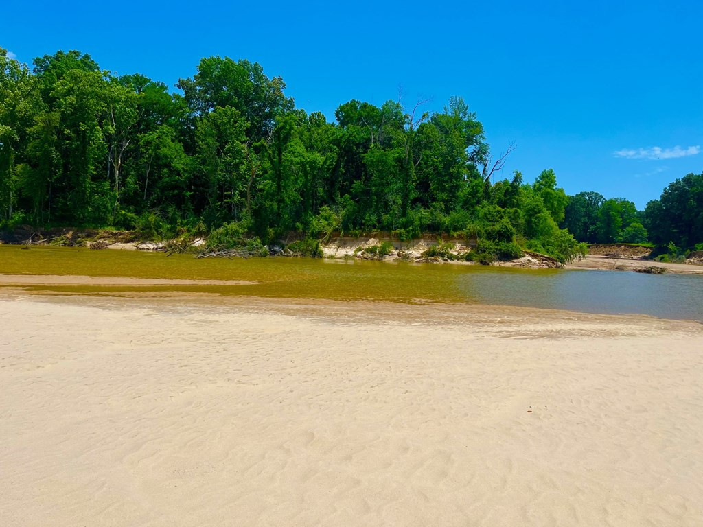 Tbn Bunkley Road Meadville, MS 39653 - Photo 6 of 29 Photo 6