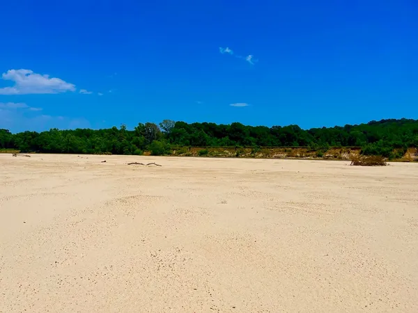 $2,850,000 | Tbn Bunkley Road, Meadville, MS 39653