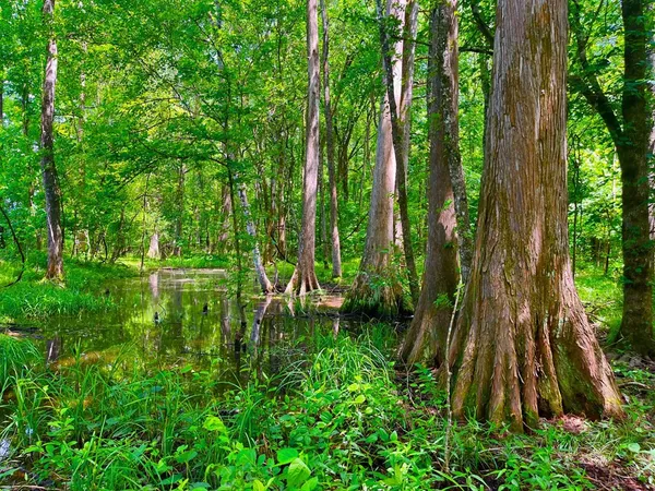 $2,850,000 | Tbn Bunkley Road, Meadville, MS 39653