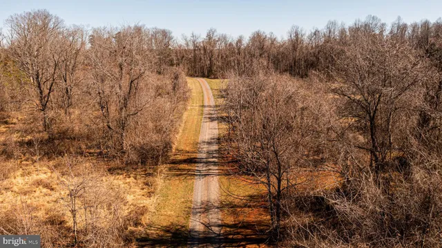 a view of a city with lush green forest